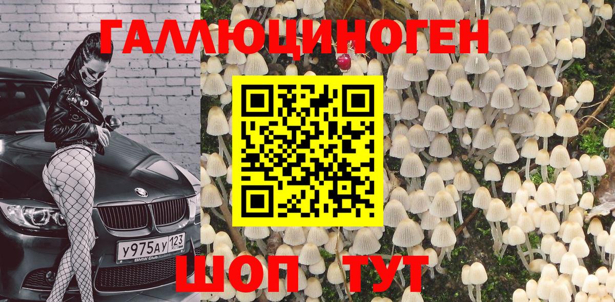 Псилоцибиновые грибы MAGIC MUSHROOMS Кызыл