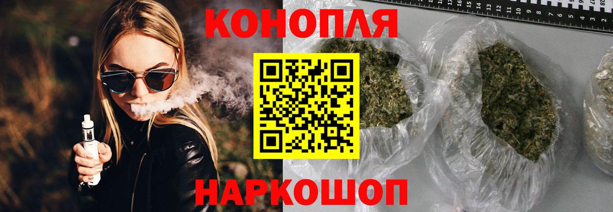Кызыл  Бошки Шишки план  Вход с VPN  Каннабис сатива  Бошки Шишки семена  Шишки марихуана SATIVA & INDICA 
